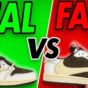 بهترین کتونی‌های ترویس اسکات؛ معرفی مدل‌ها + تشخیص اصل و فیک (آپدیت ۲۰۲۵)